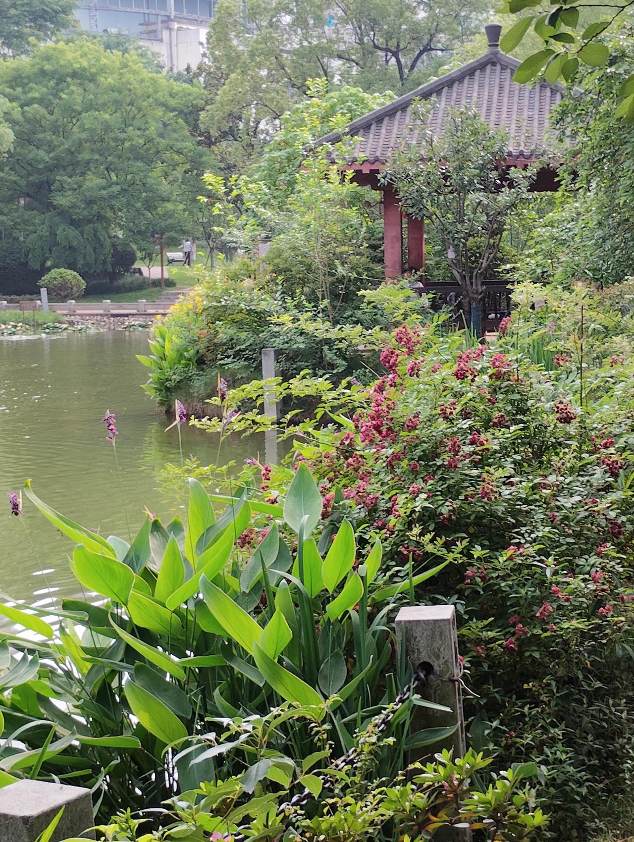 一年四季中哪个季节的景色最美春暖花开四个字形容了春天的美好。它给万物带来了新生，