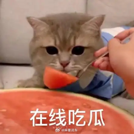 景区免费吃瓜游客已吃3000多斤吃瓜可以，但吃瓜比赛不行，吃的太快反而有点糟蹋西