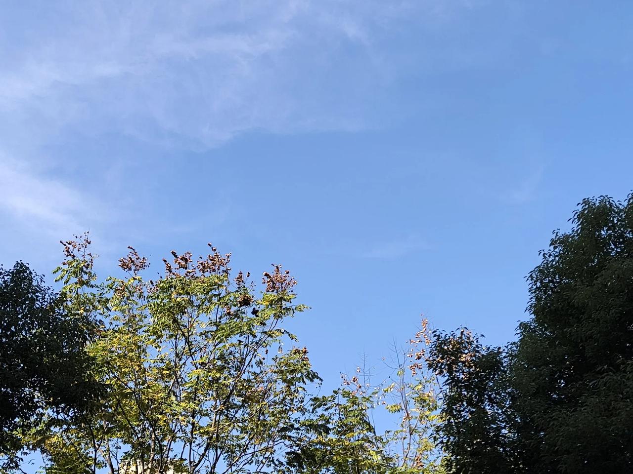 冬日生活记录天空很蓝，心情很好