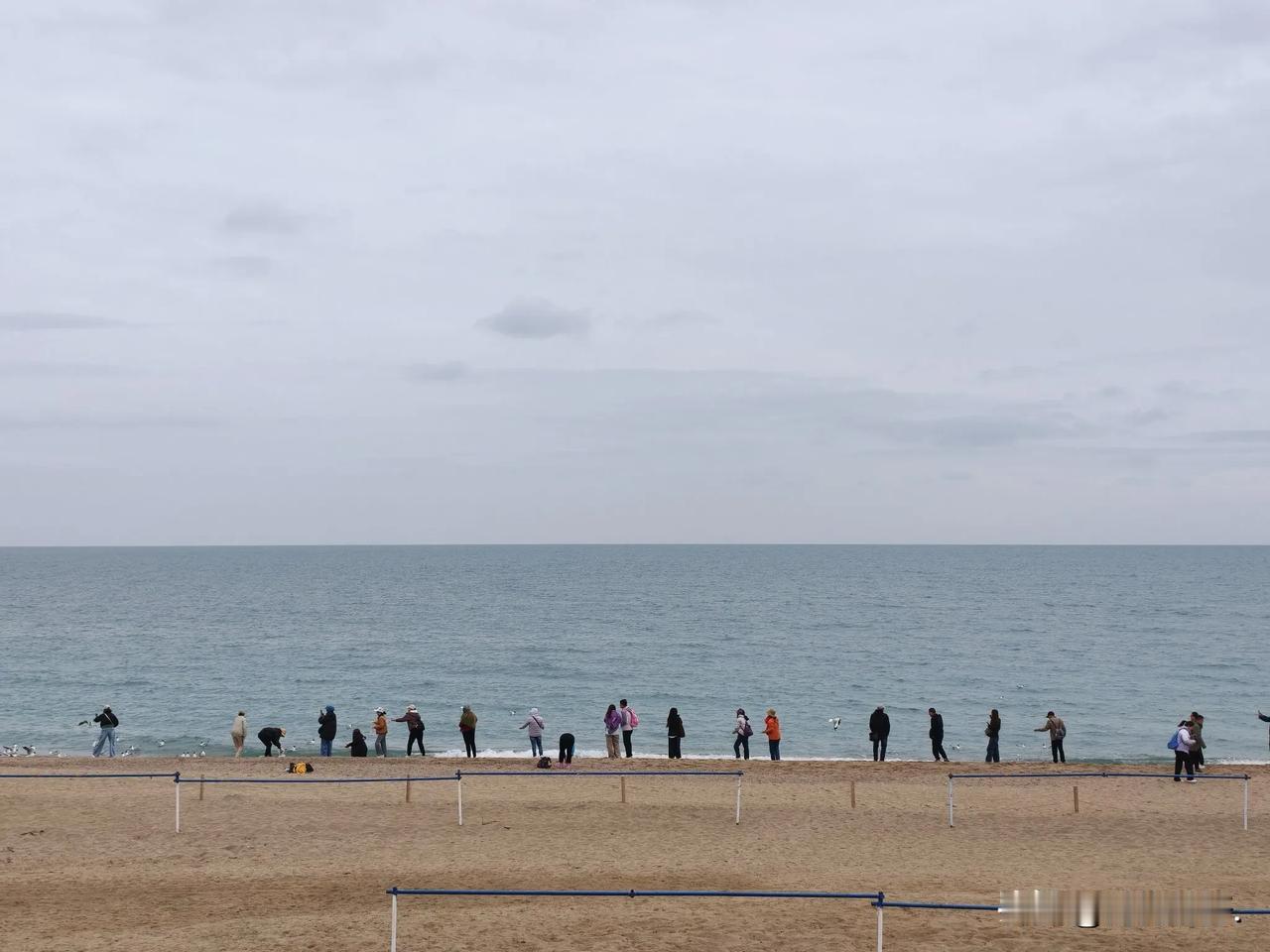 雨中漫步青海湖  5.15

昨天下午4点多到达了青海湖二郎剑景区。从茶卡到青海