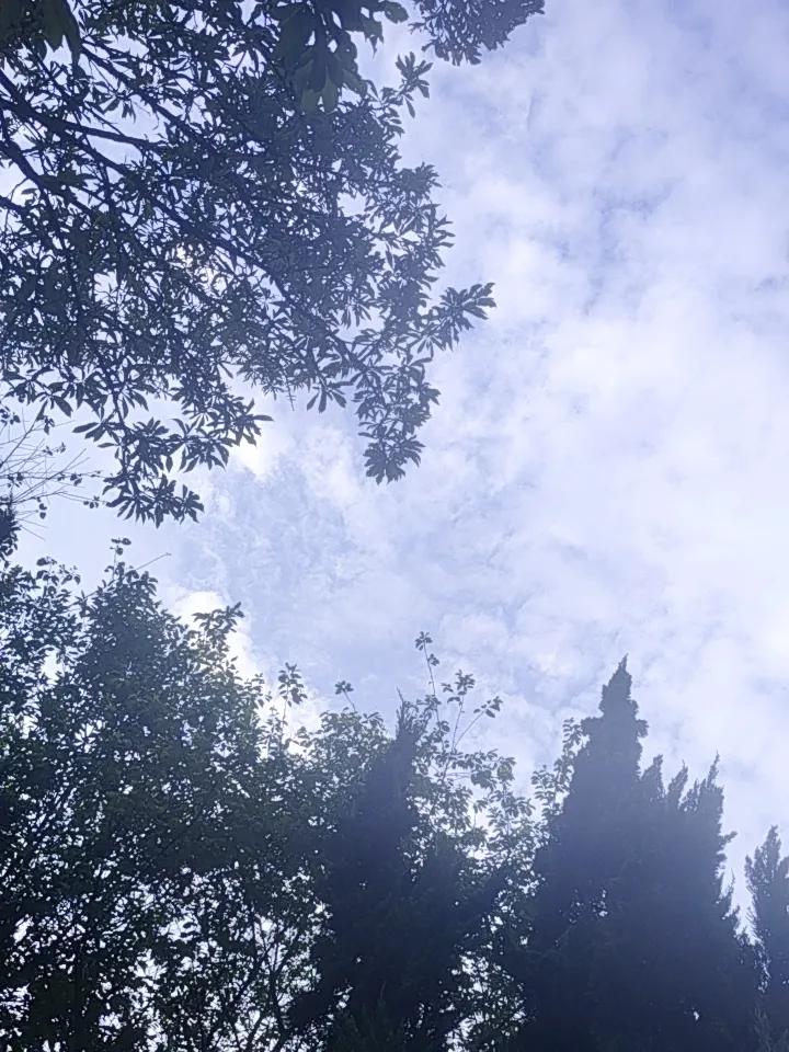 昆明这阴天，简直是游玩的绝佳天气！不愧是“春城”，气候宜人，没有极端天气，特别适