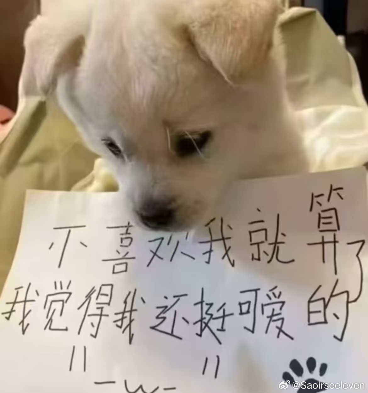 小伯:我都按你们的点子来了怎么还是戳穿我 