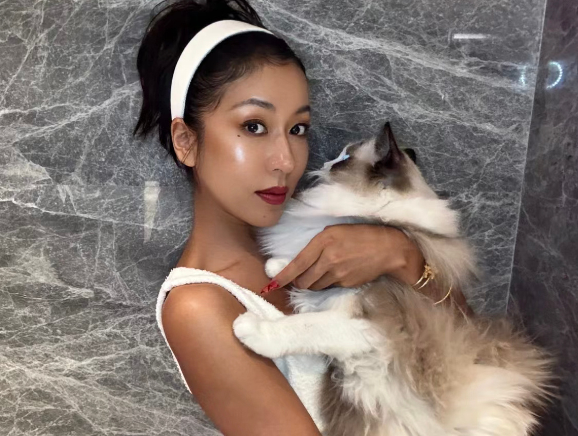 #吉克隽逸是猫的女人##吉克隽逸到底多喜欢猫#吉克隽逸到底多喜欢猫，家里养了好多