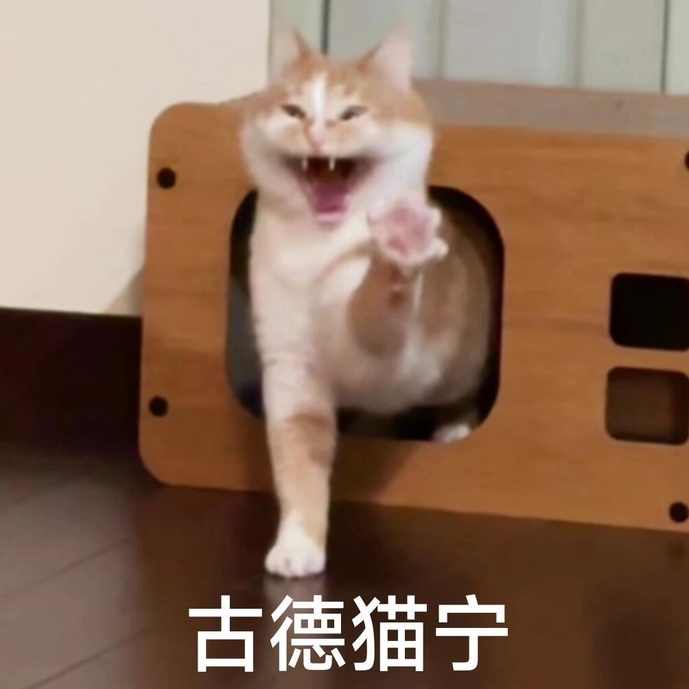 早早早～💛 