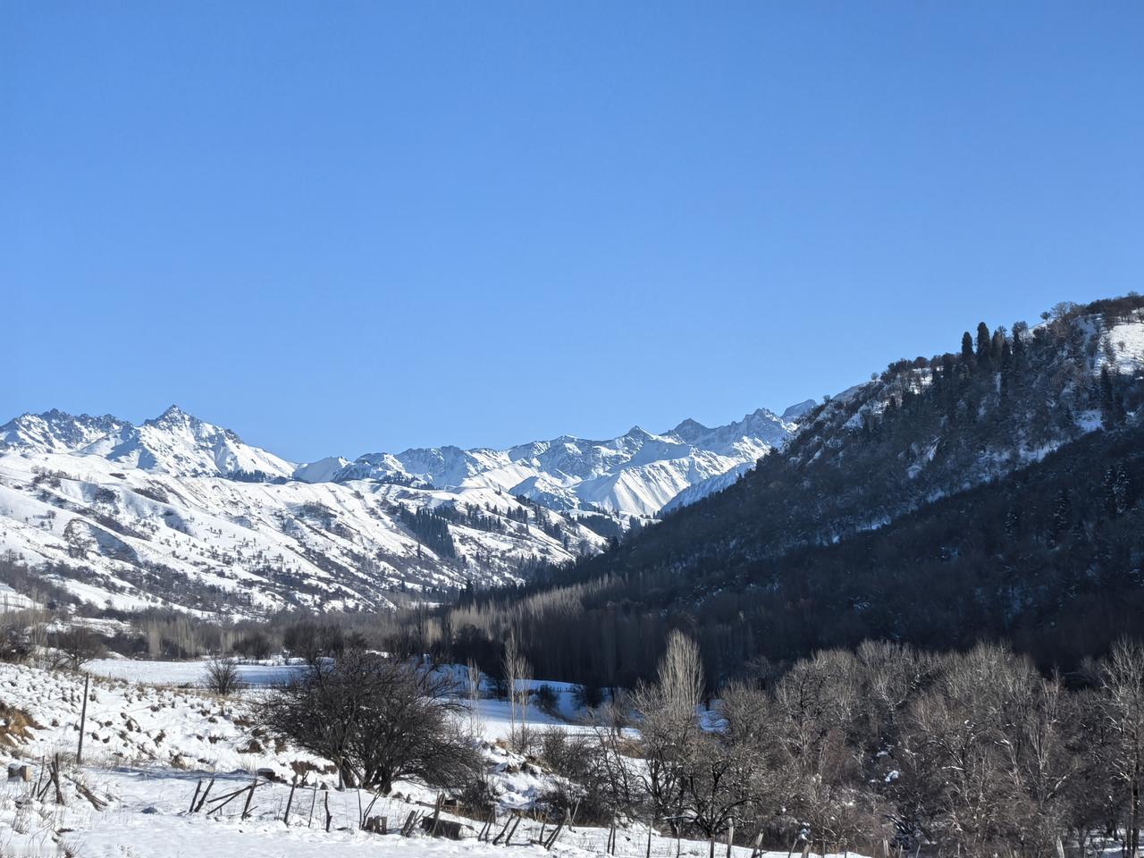伊犁的冬季更多样化，有山，有树，有河，有雾凇，有天鹅，有湖，有沙漠，有口岸，有民