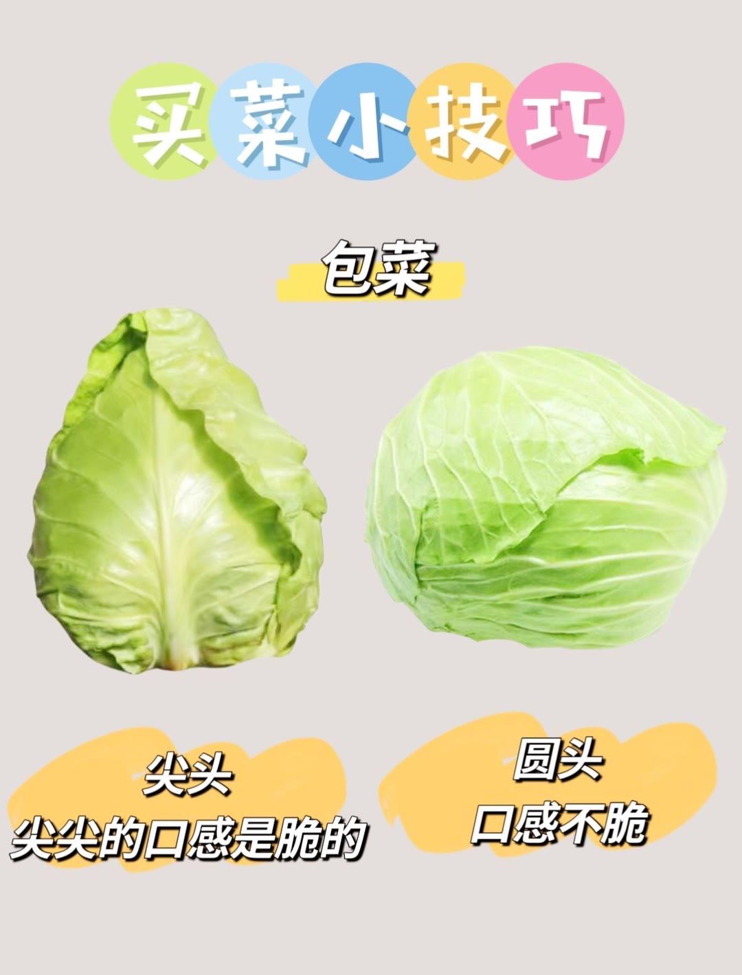 如何挑选蔬菜  你真的会挑选蔬菜吗  蔬菜怎么挑好吃  生活小常识买菜挑选小技巧