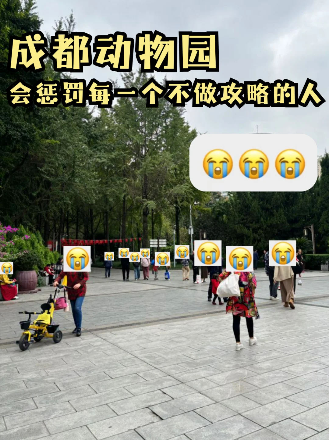 听劝！去成都动物园之前一定要做攻略！！