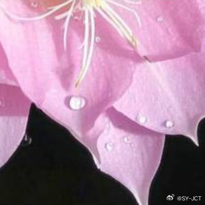 每日一善每日一善 想开了，自然微笑，看透了，肯定放下，完善自己，才能抵达幸福，宽