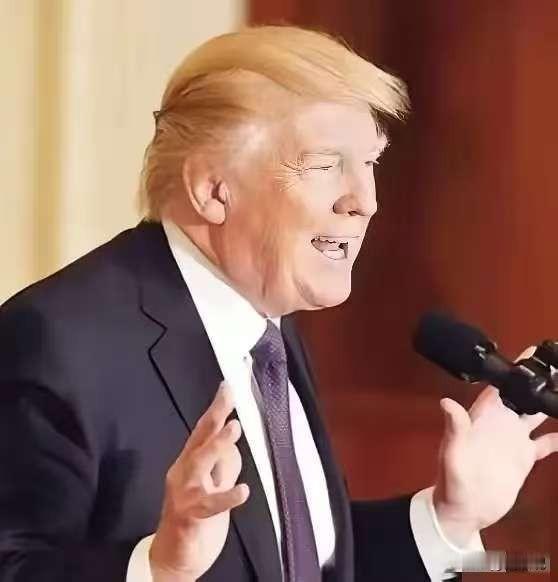 特朗普消息
4月17日，特朗普宣布了一个重要消息：要邀请以色列总理内塔尼亚胡和黎