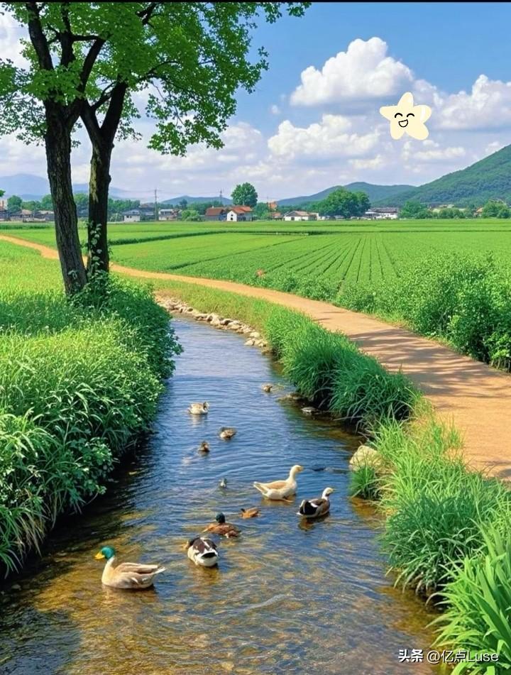 通知！大家要做好准备。
还有12天，
即8月14日就正式入末伏了。

末伏与中伏