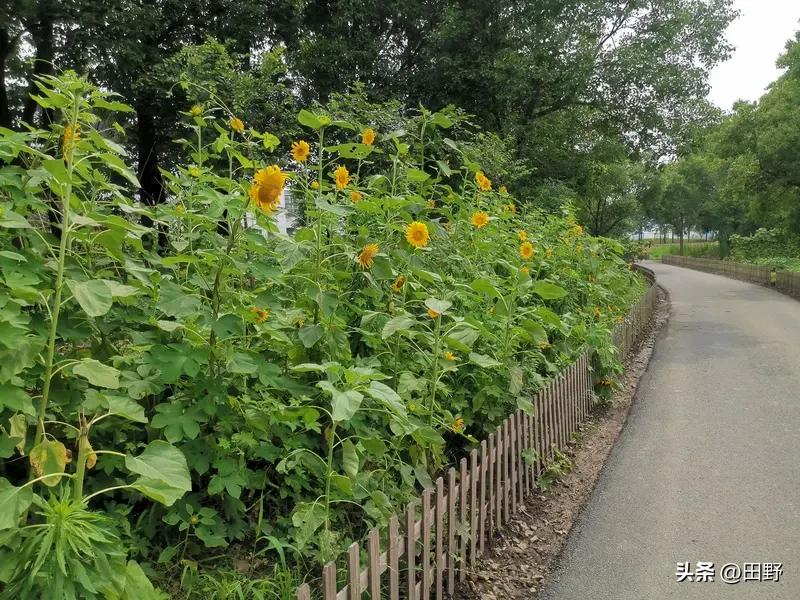 如何保持积极乐观的心态以应对老年生活 60岁后养老你觉得啥最靠谱 60岁后养老，