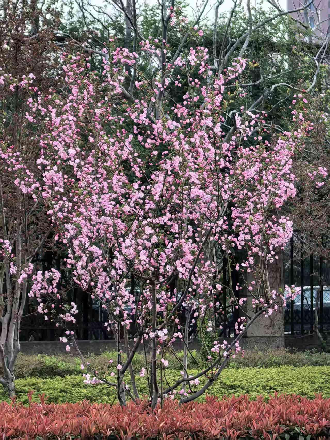 在这个温暖的季节里，回望走过的每一个地方都感觉自己的不易和辛苦。曾经也有过豪情壮