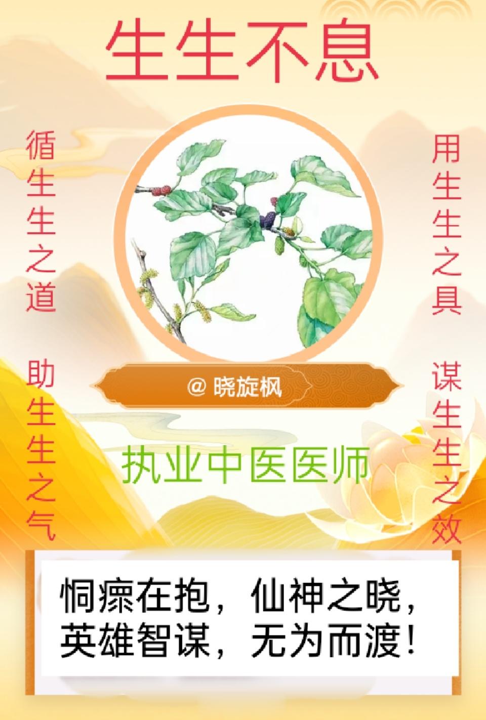华夏生生医学每日一临证名言：【#典籍里的中医#】47、盖外无恶寒发热身痛之表证，