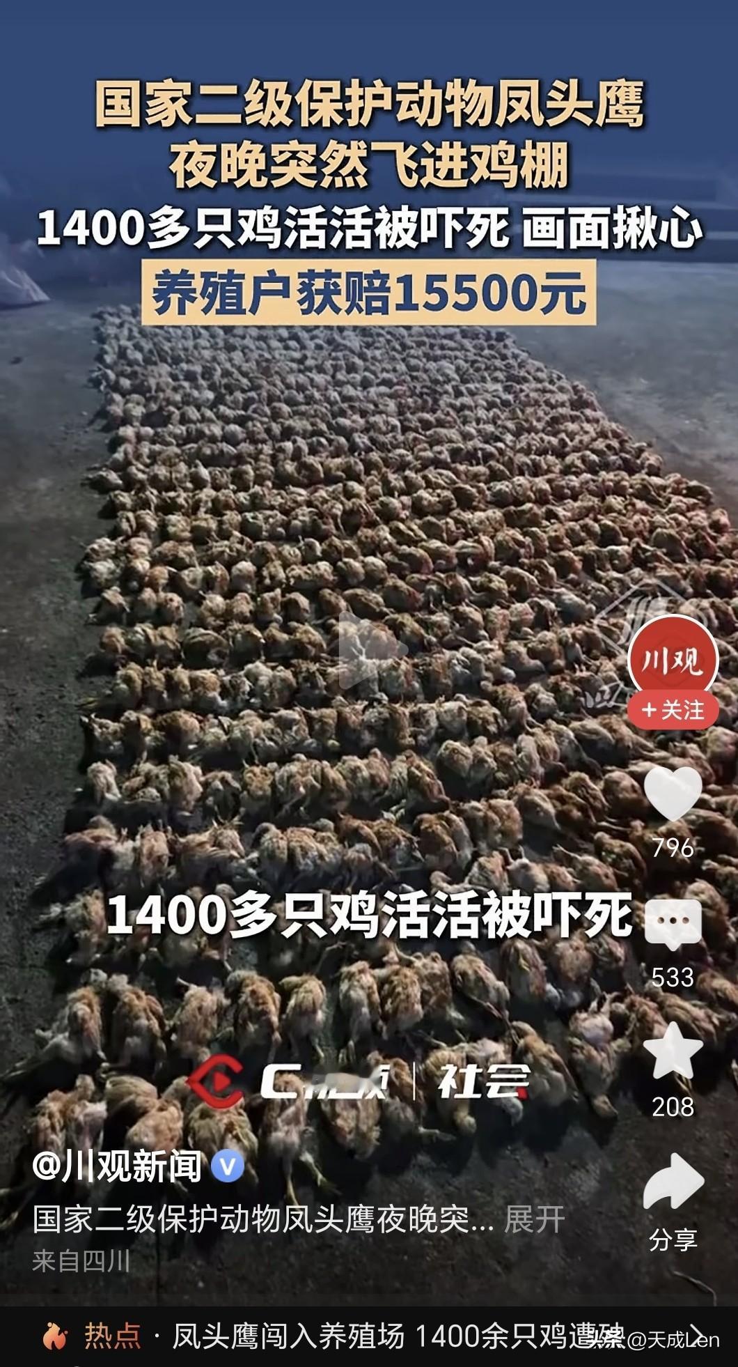 鸡有弱鸡，人有弱人，国有弱国。国民整体性提升，是强国之所以强的根本。
