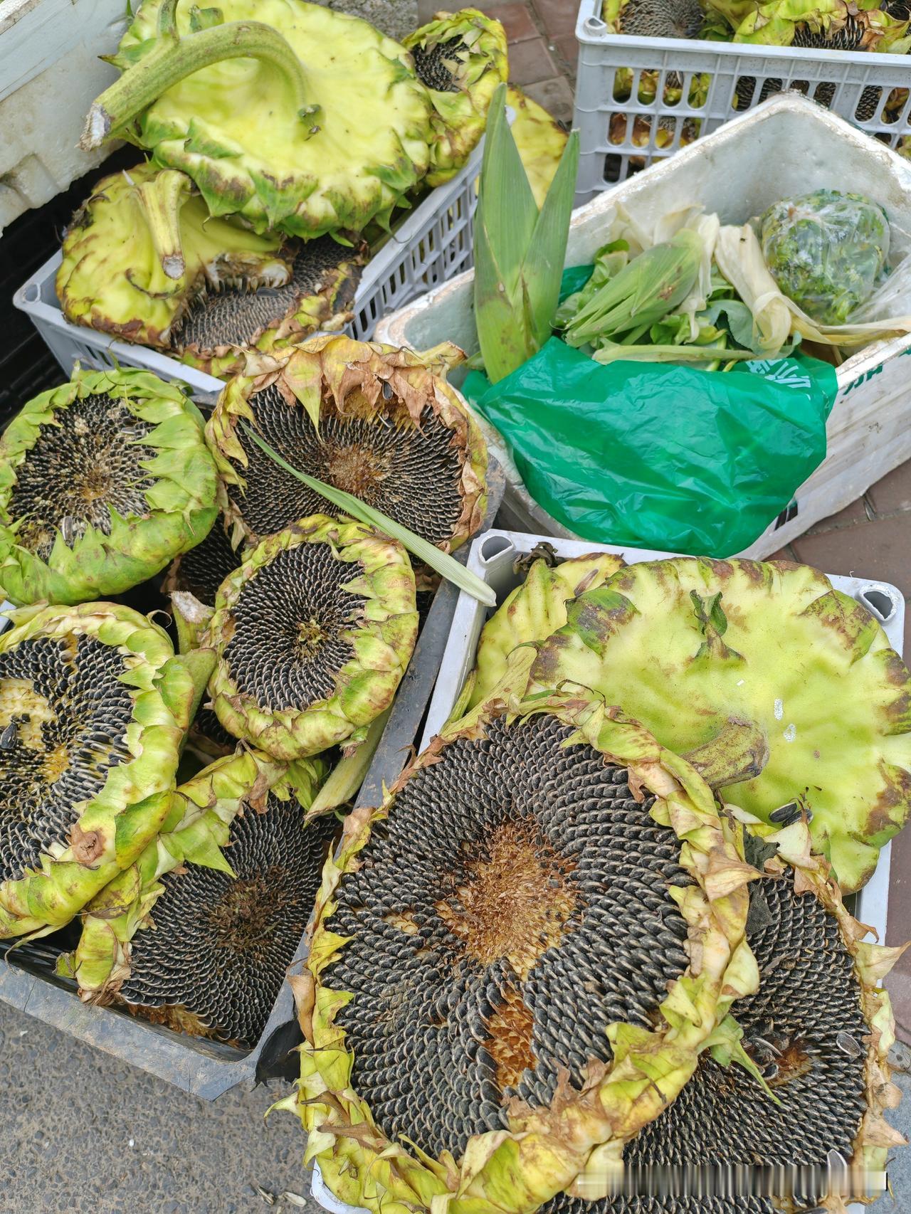 早上，去太白县城的菜市场逛逛，顺便买点新鲜的蔬菜。

以前，特别是年轻的时候，总