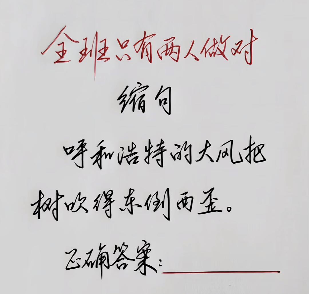 全班只有两人做对的缩句题:“呼和浩特的大风把树吹得东倒西歪。”你能写出正确答案吗