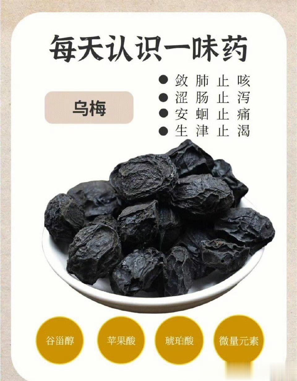 调结节息肉可参考哦，常见的乌梅，药食同源，搭配这三味药，调一身结节、息肉！一提到
