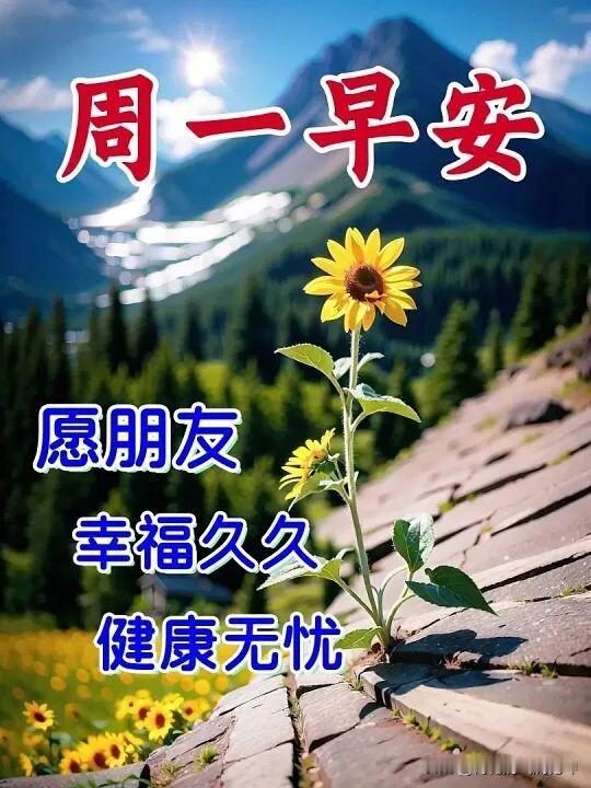 周一早安，愿你幸福久久，健康无忧！🌻🍃