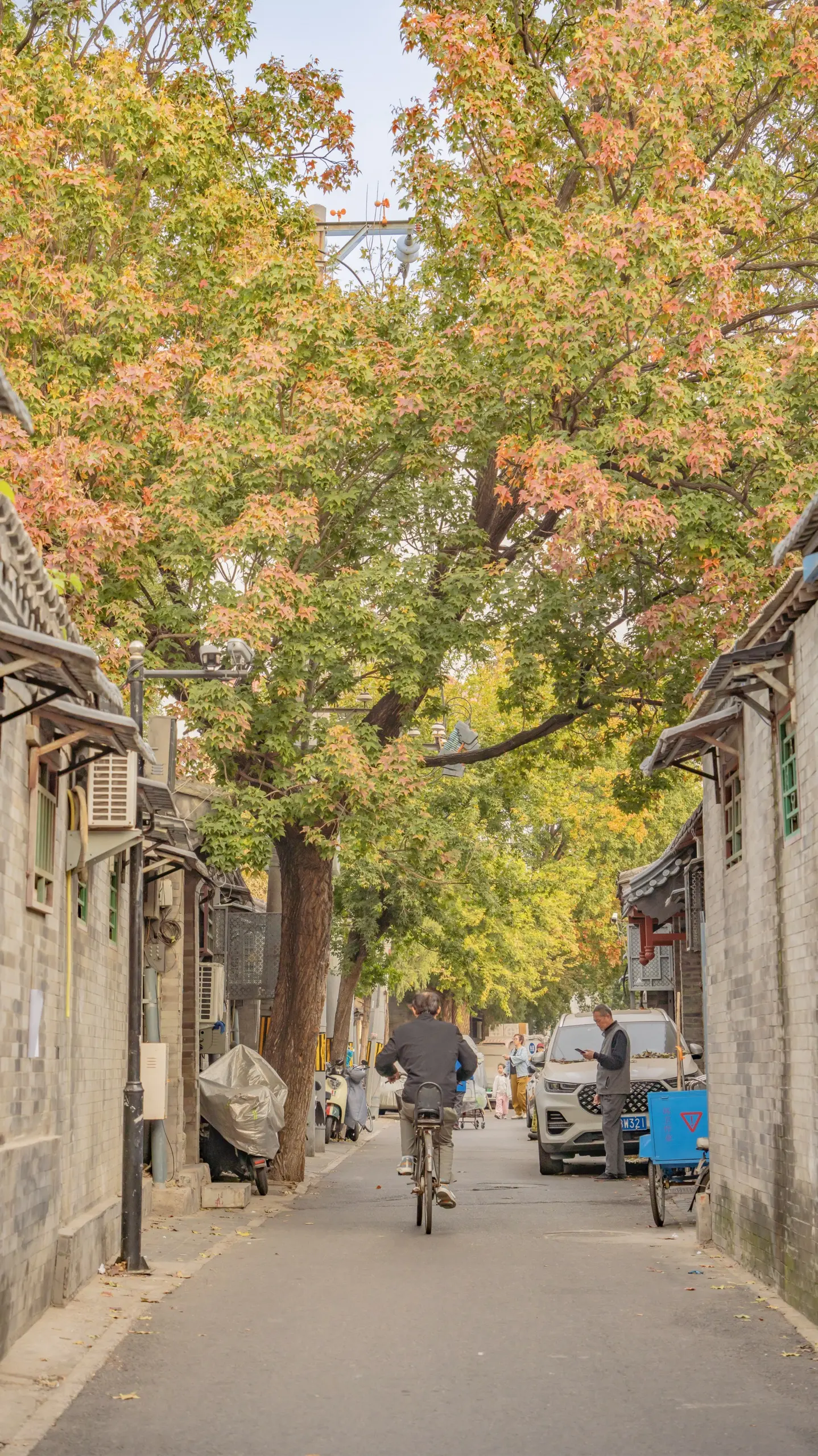 这个秋天，总要来趟北京胡同里赏秋吧。📸 打卡北京胡同里的秋天 🍂 ...