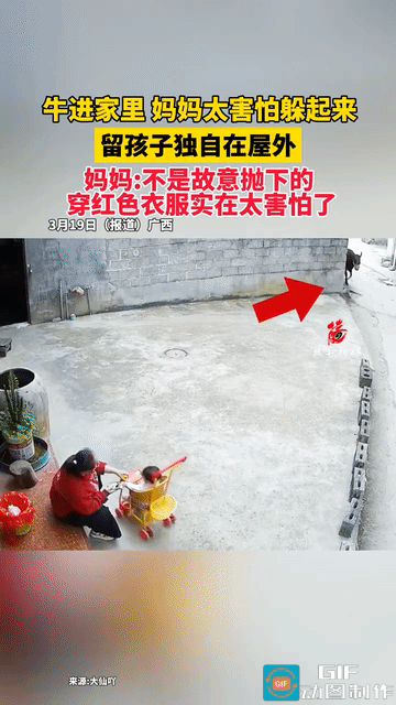 “贪生怕死！”广东，牛进家门，妈妈害怕丢下孩子自己躲到家里，还把大门关上。时候妈