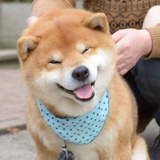 蛇柱聚聚教育