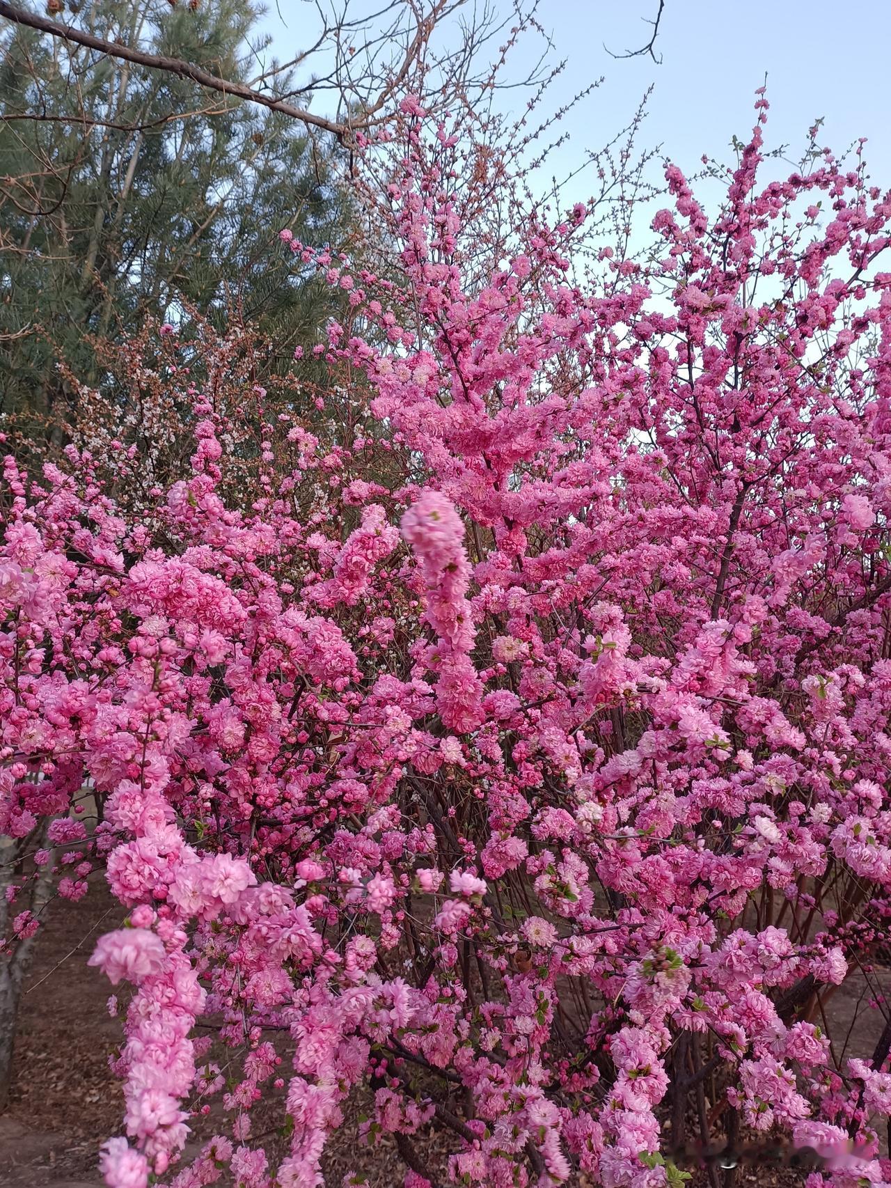 周三快乐，清风拂面，好运常伴
 
清风拂在眉宇间，
好运降落你身边。
不必追赶时