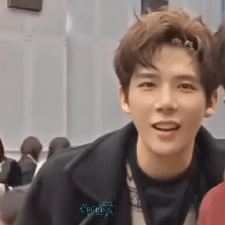 小狗吐舌（我为什么越看越像笑） 