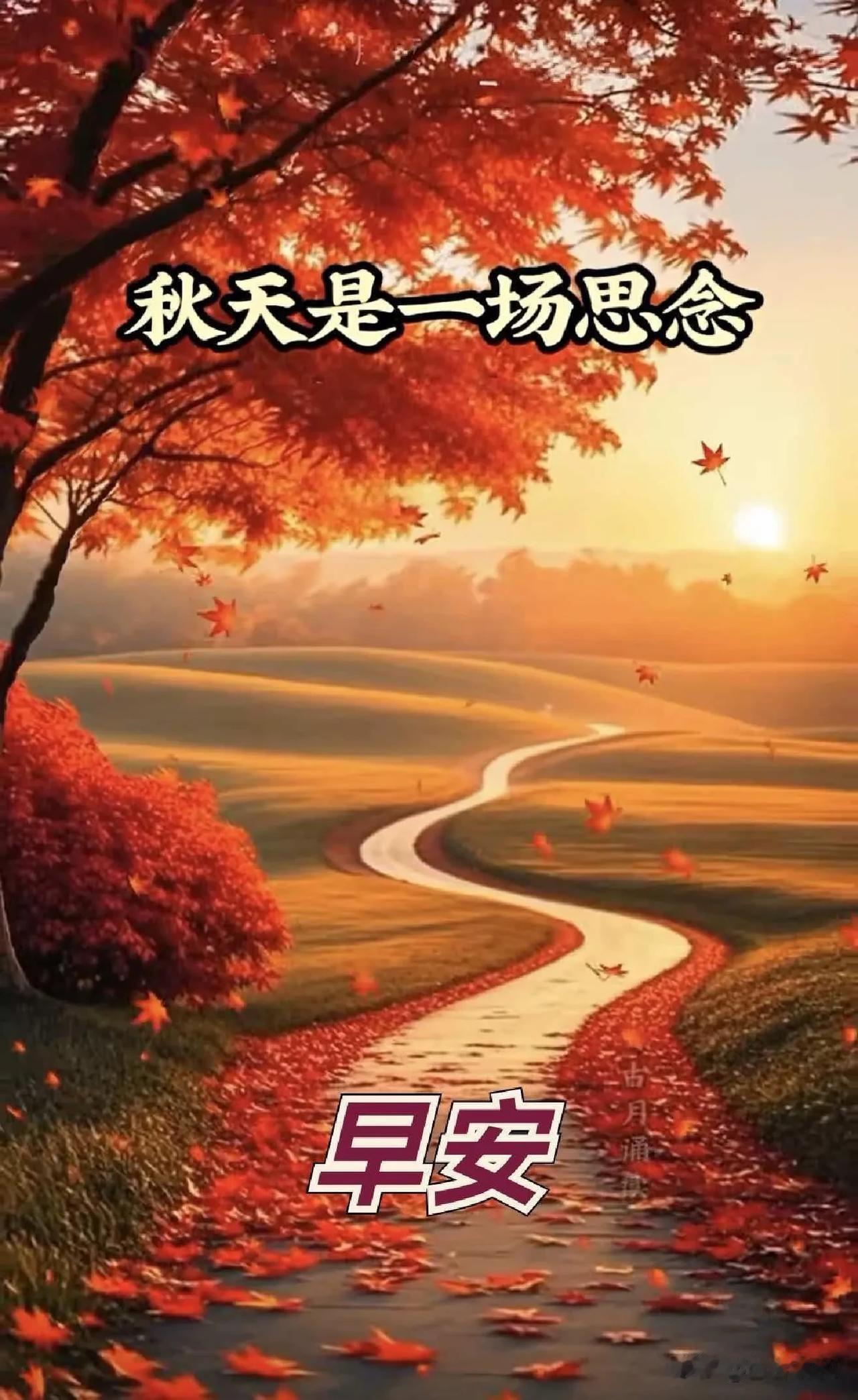 秋意渐浓，思念如常，祝大家新晨安好，喜乐相伴。