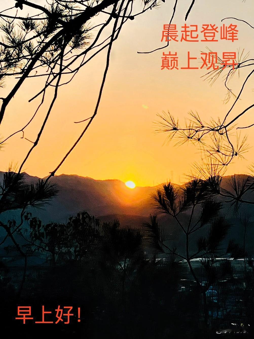 分享一张最近随手拍的照片