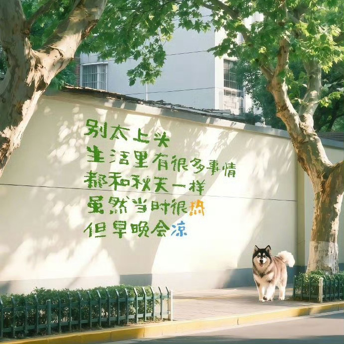 ✐. 🌱 ʜᴀᴘᴘʏ 〰︎  "快乐三件套：不纠结 不计较 不内耗"
