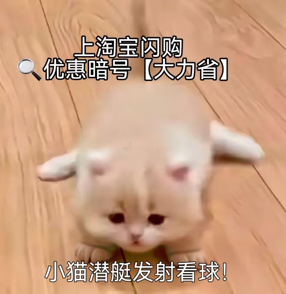 西班牙首发 深夜蹲赛事首发，宵夜装备必须拉满！约上搭子冲淘宝闪购拼酒水卤味，报暗