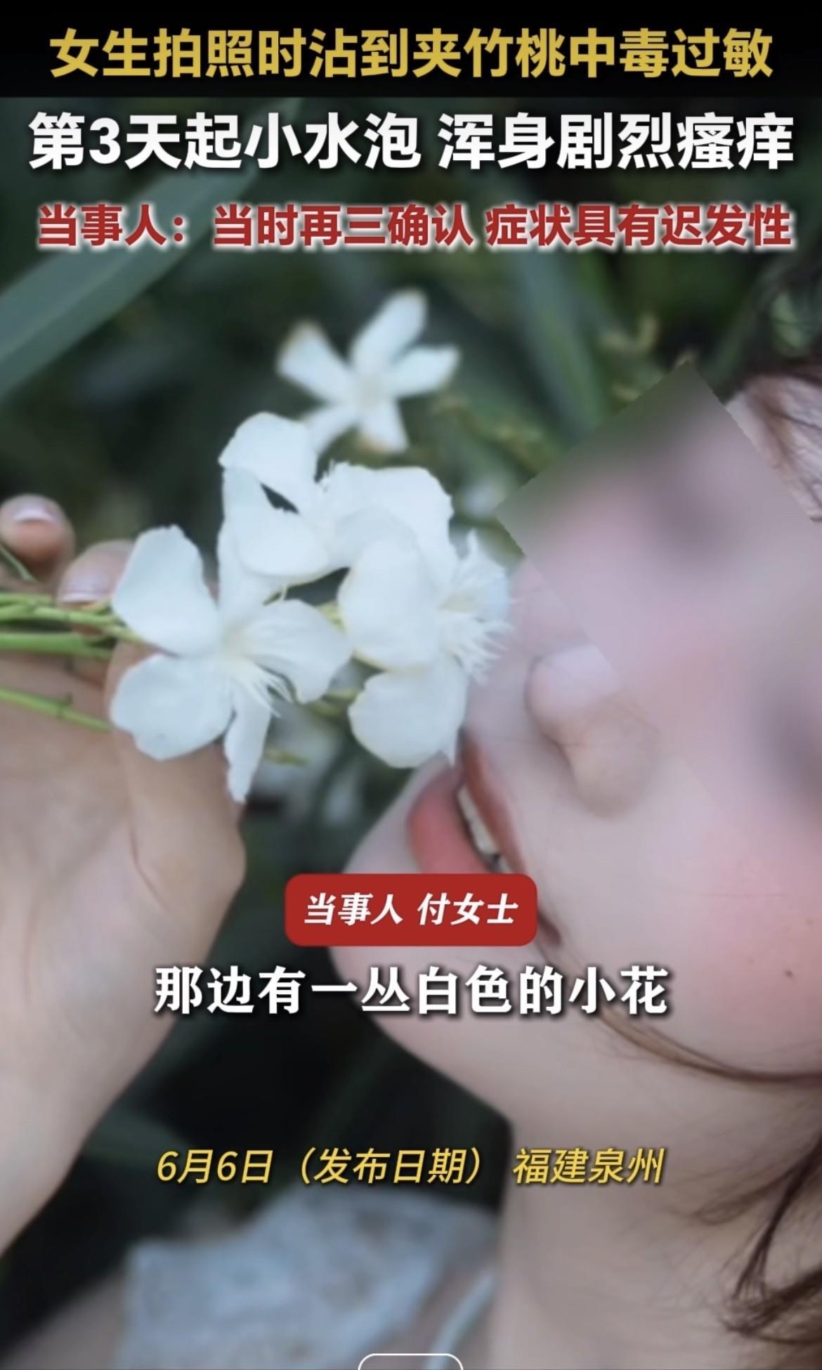 她把白色夹竹桃塞进嘴里的时候，觉得这花真好看。她不知道，三天后自己会变成什么样。