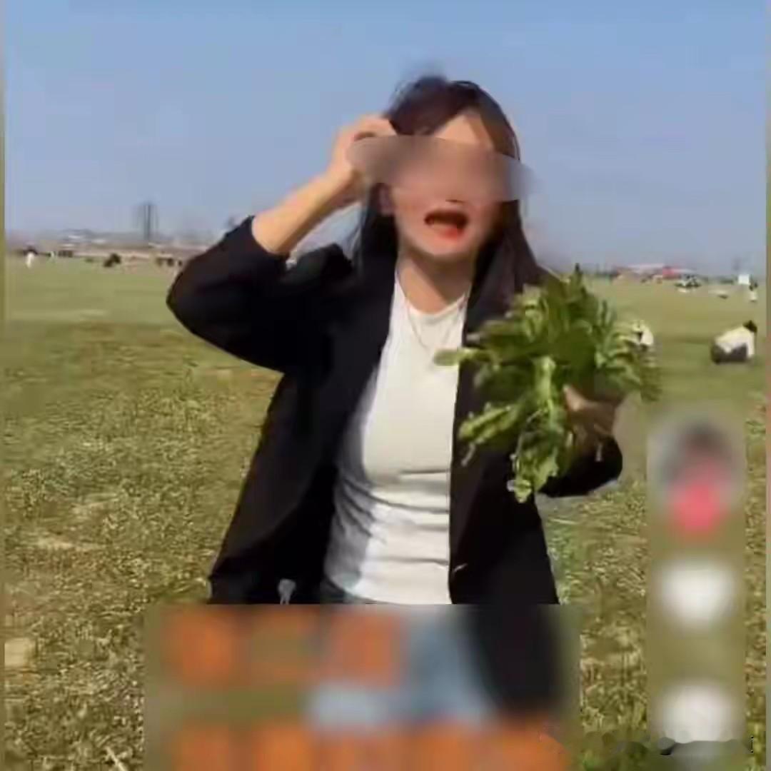 发布虚假“免费采摘荠菜”视频，导致农户260亩荠菜遭哄抢，损失百万，报警警方不予