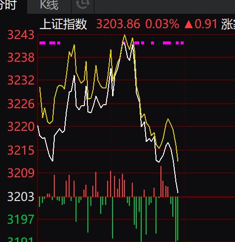 上证指数上冲后迅速回落，近期成交不大，上冲后，资金迅速兑现一波。调整关注承接。只