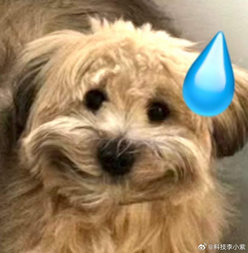 老师为什么能发现家长签名是假的当年的我还是太年轻了以前读书每次不敢让家长签字的，