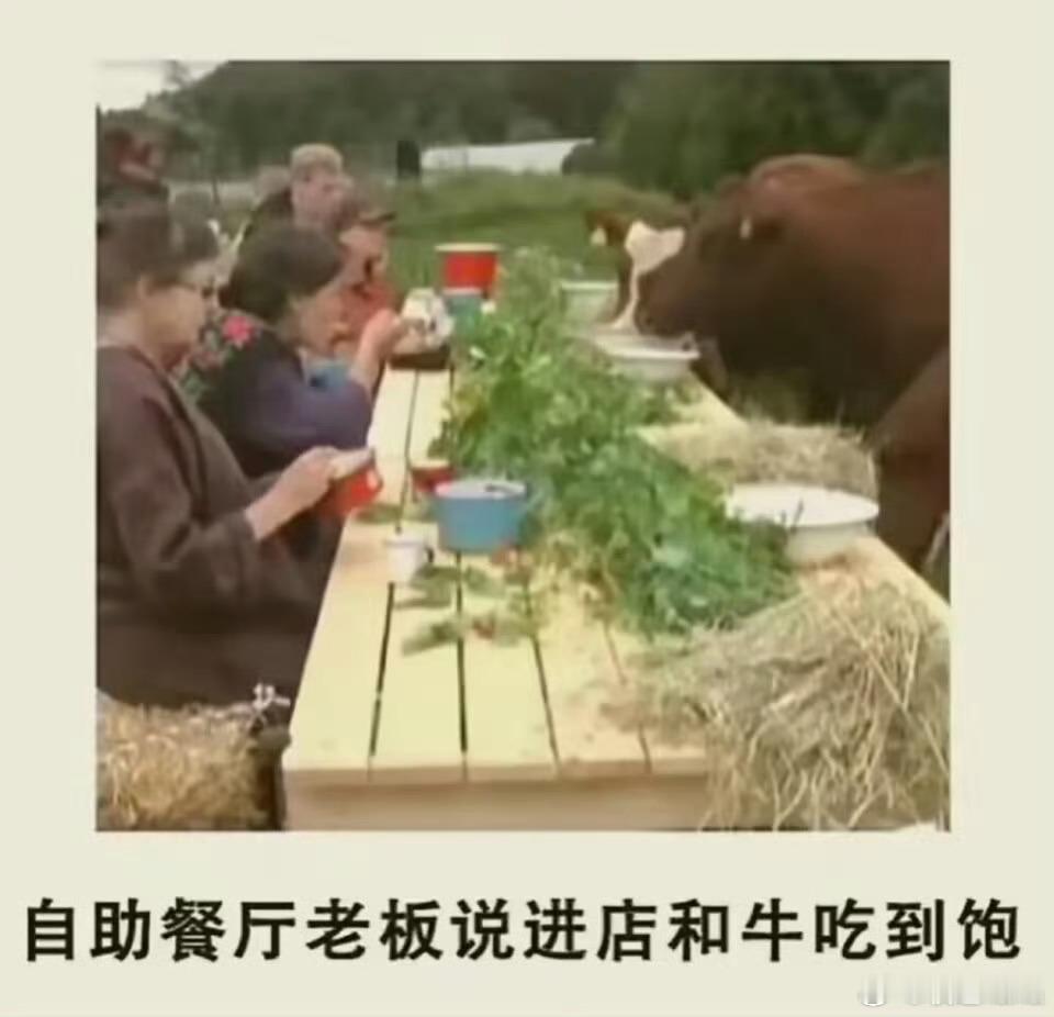 吉利汽车在今年第一个月卖了21万辆其中领克销量28176辆，海外出口26262辆