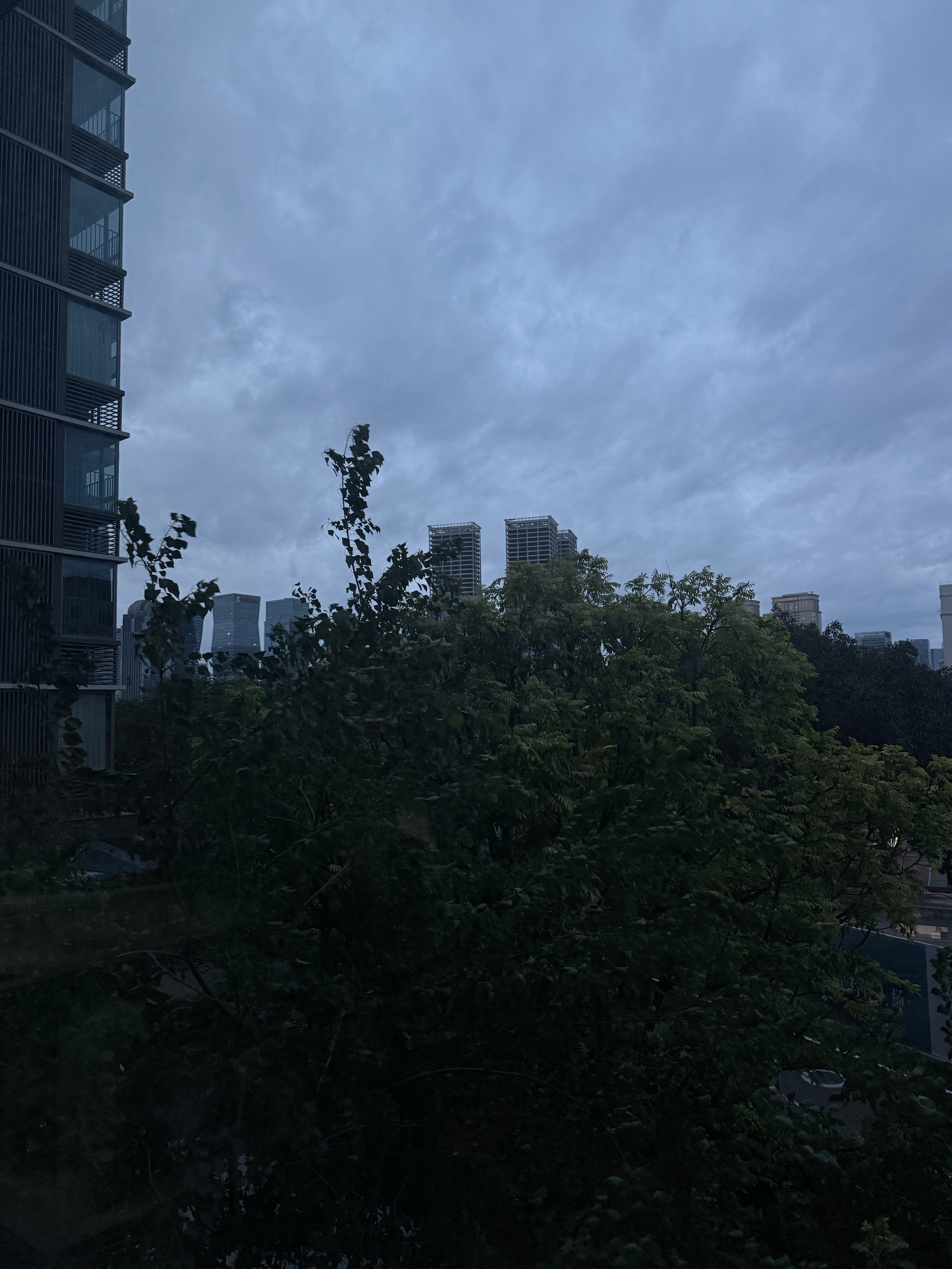 蜻蜓低飛 ​​​