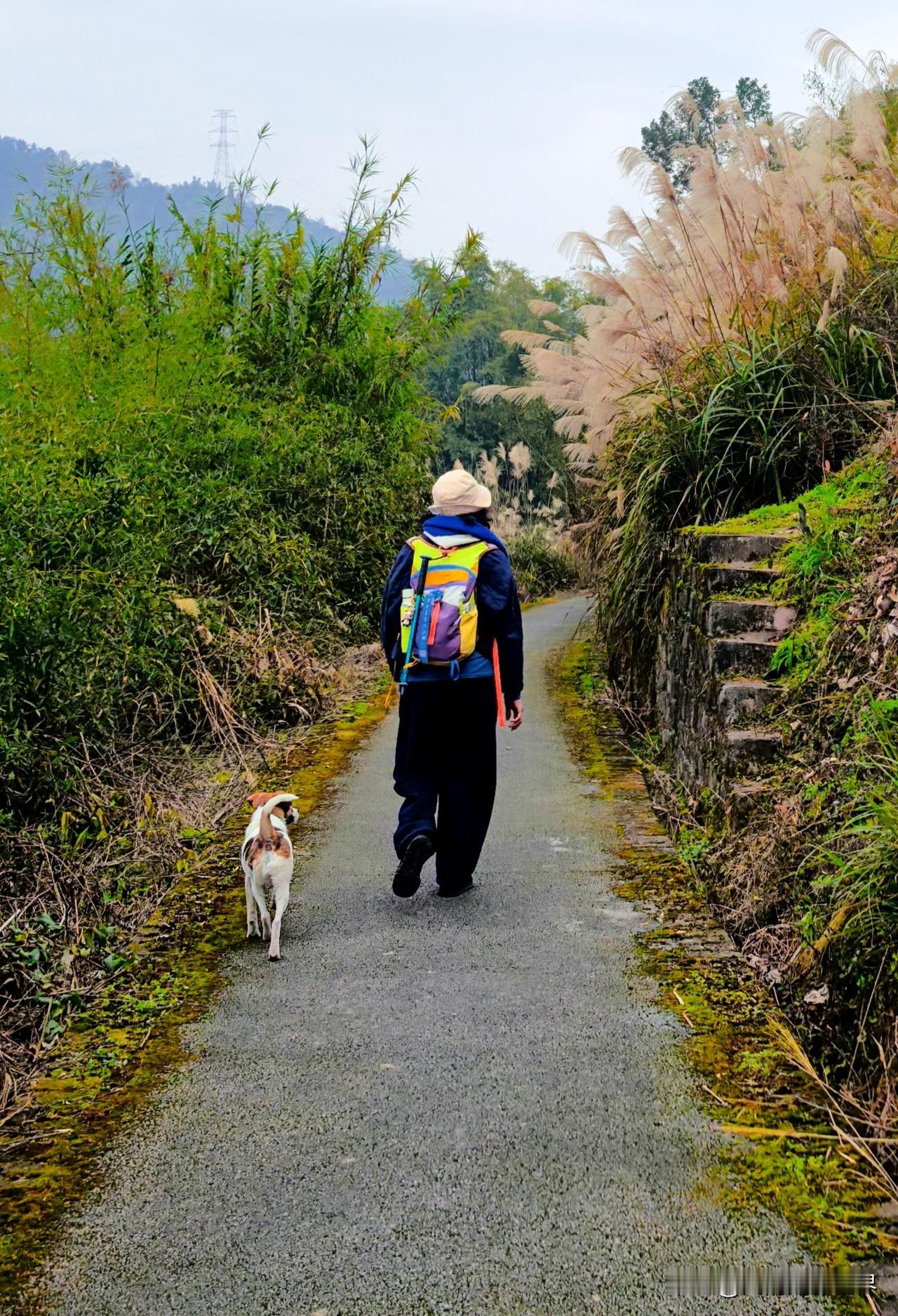 那一排排羽杉树整齐地排列在湖边，有的叶子已经染上了醉人的红，像是被天边的晚霞点燃