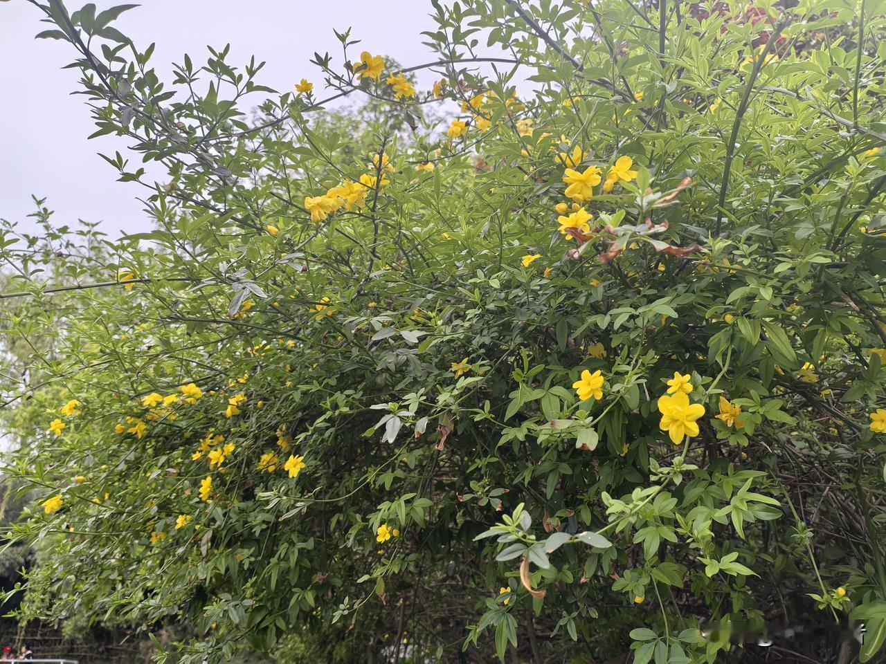 春满人间