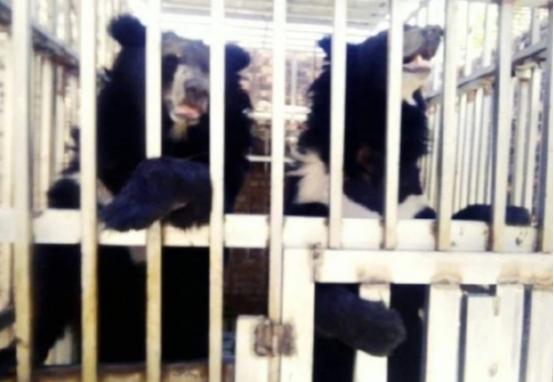 真是细思极恐，泰国海军陆战队进入一家柬埔寨赌场，空无一人的赌场深处，竟然发现了大