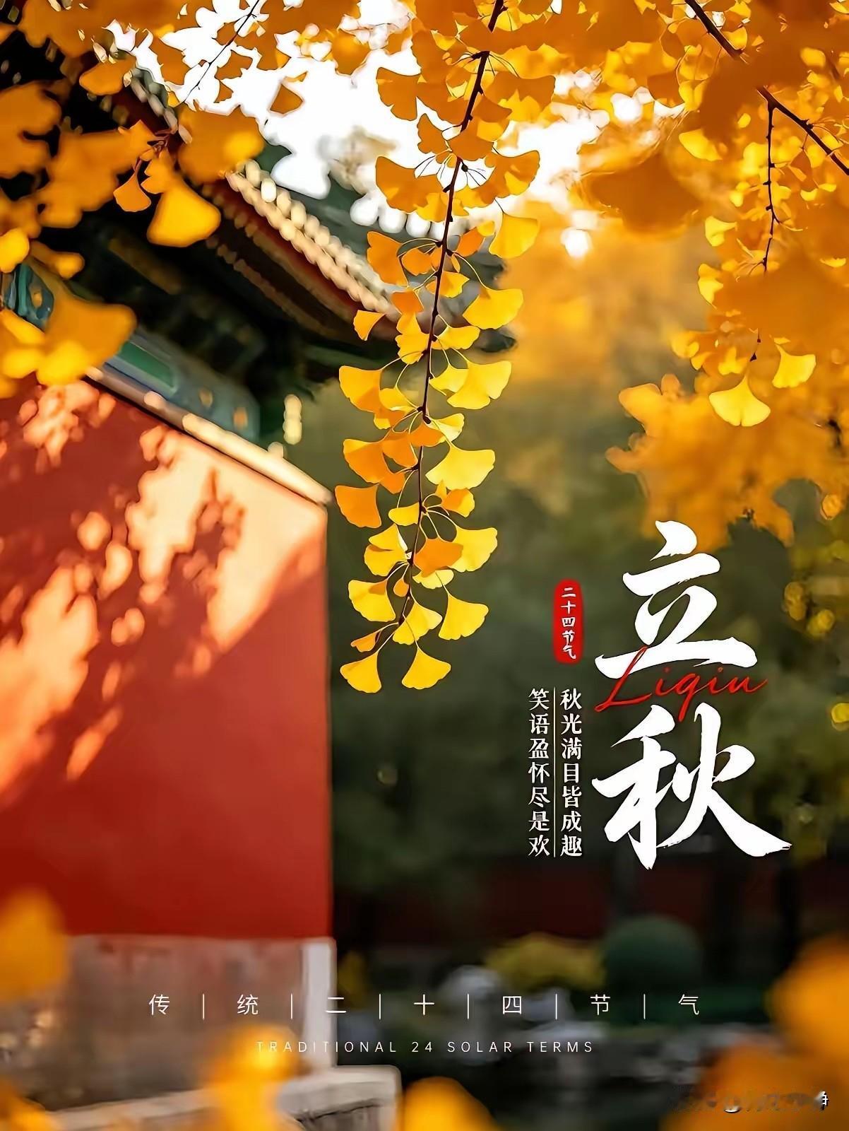 🌼²⁰²⁶/₀₈.₀₇ᵕ̈ 周五｜立秋晨安☀️🍃🍒🍑☕️
🍃𝐆𝐨?