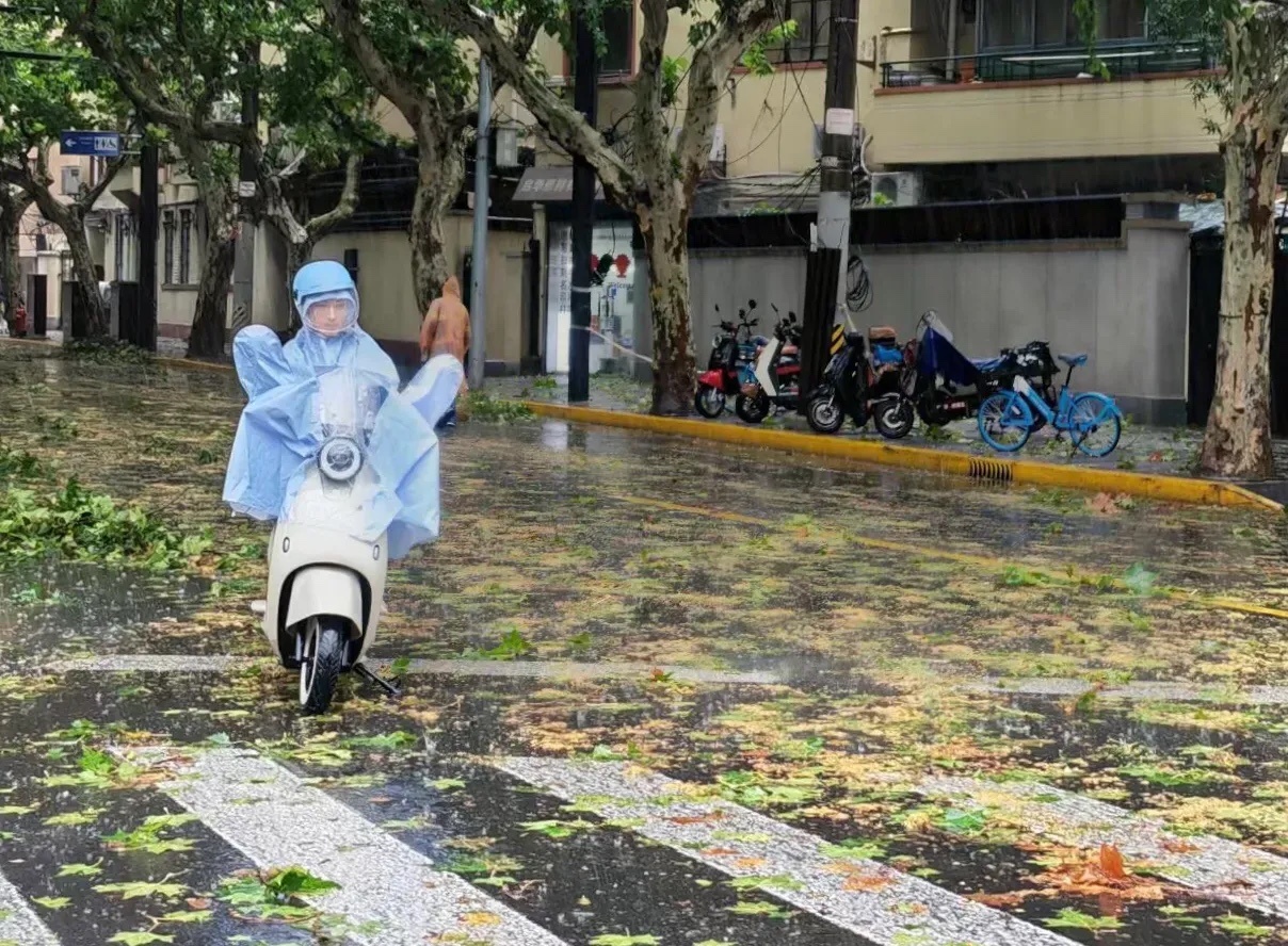 老人言：有钱的哥哥大八岁。有钱的地方，风都大八级；落后的地方，只有自己吹。 ​​