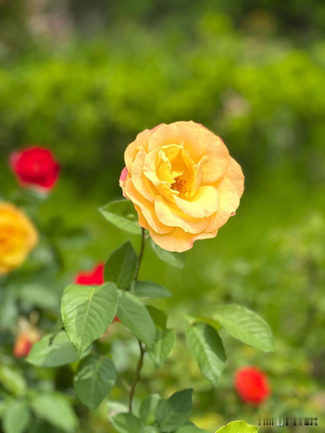 【小对联】
上：人气；
下：……？