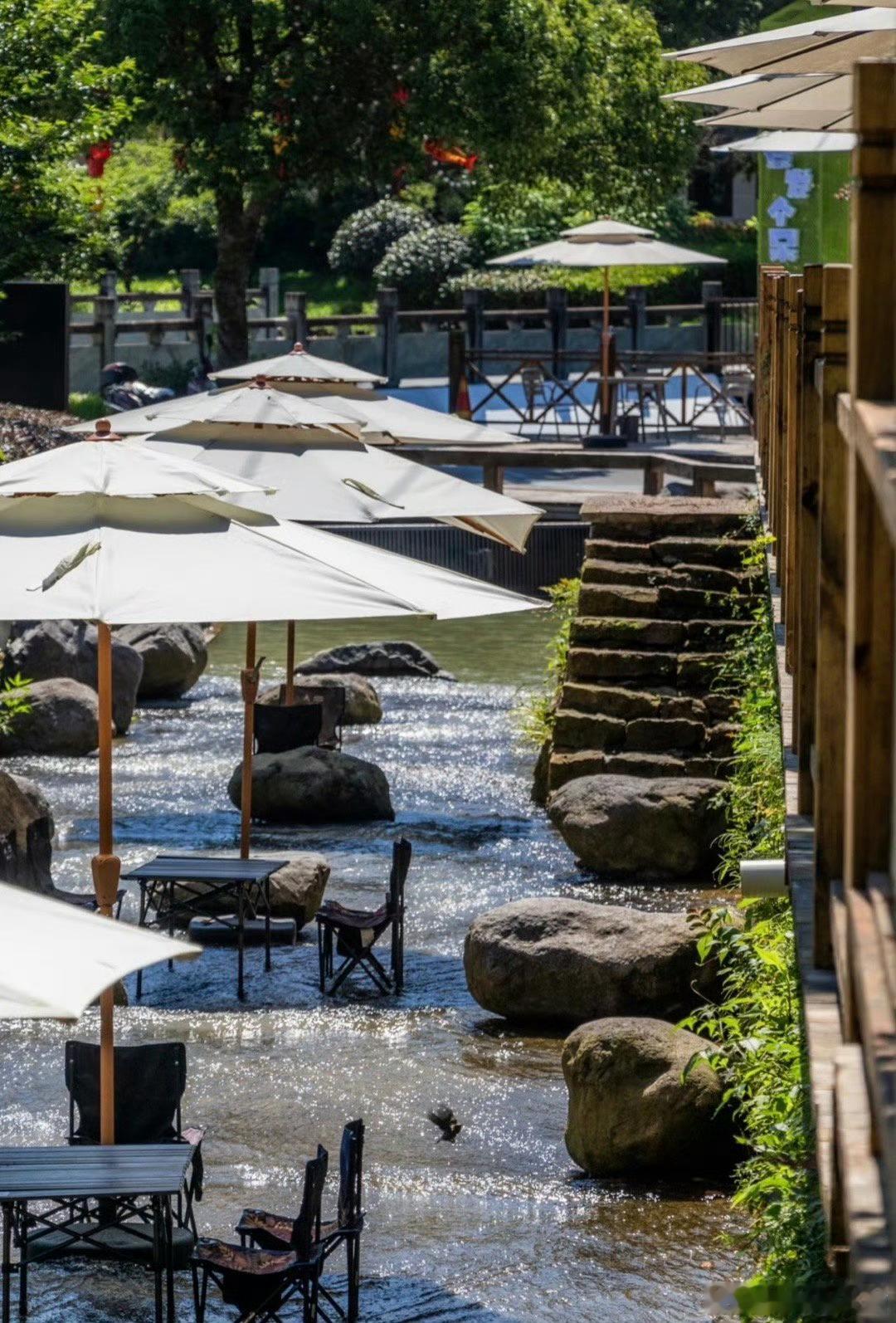 最高减重38斤台州路桥织密健康管理网仙居采风太戳人！老村溪边喝咖啡、绿皮火车里涮