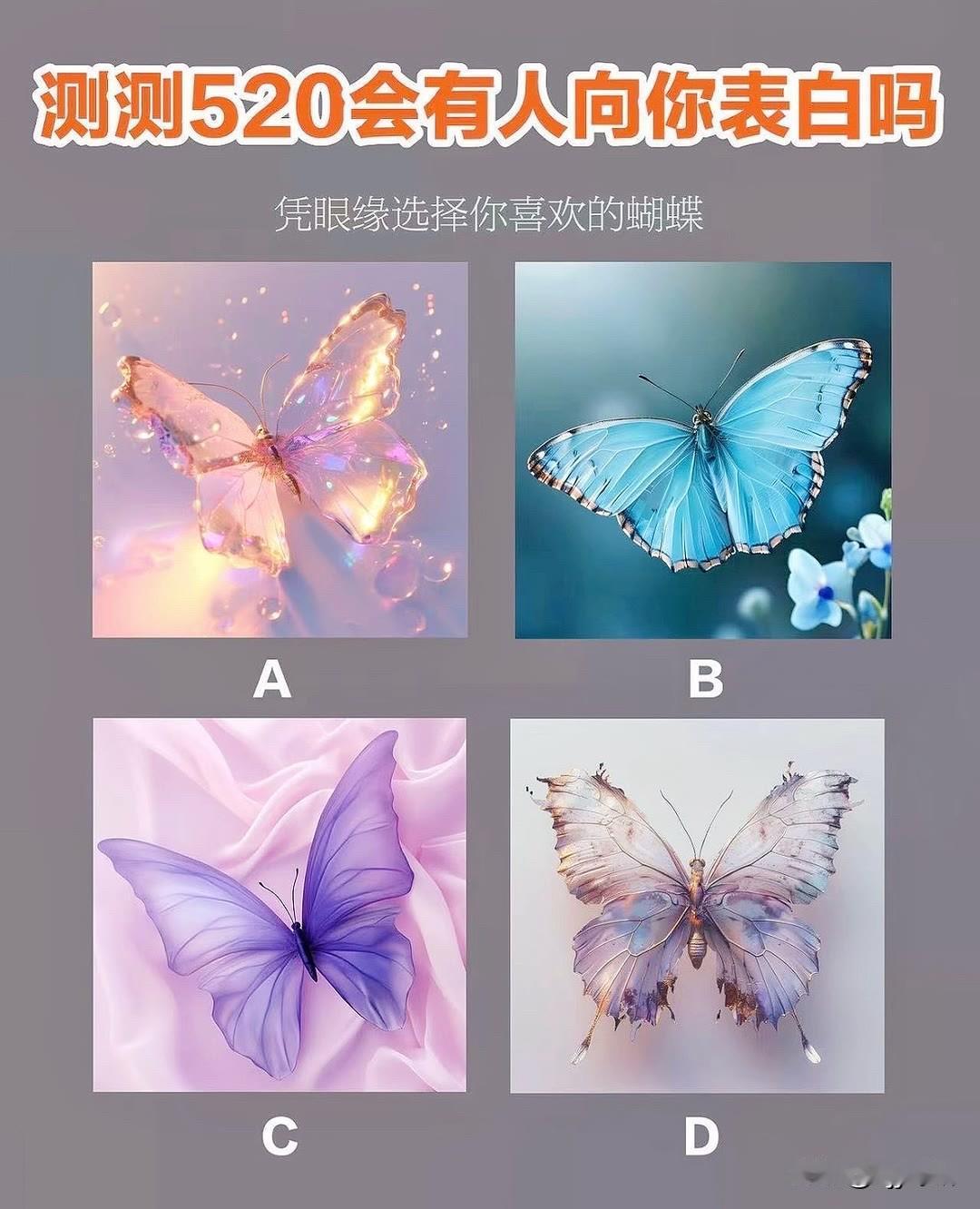 凭眼缘选择你喜欢的蝴蝶