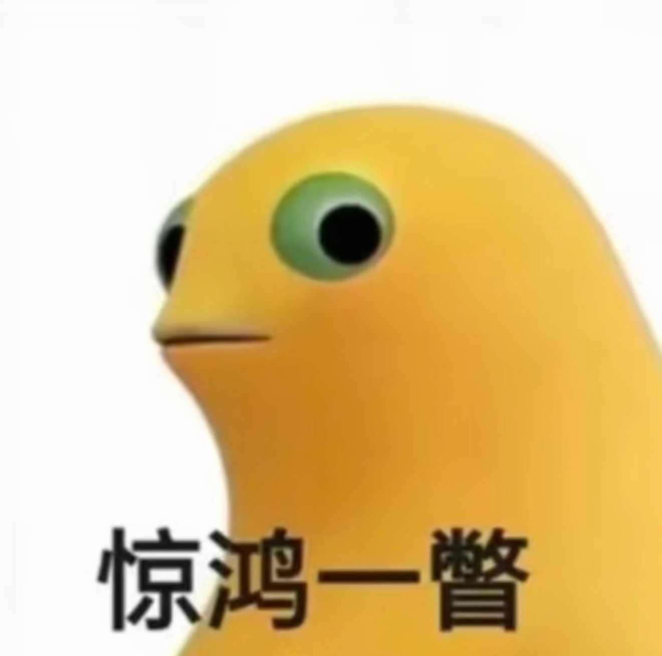 分享图片 