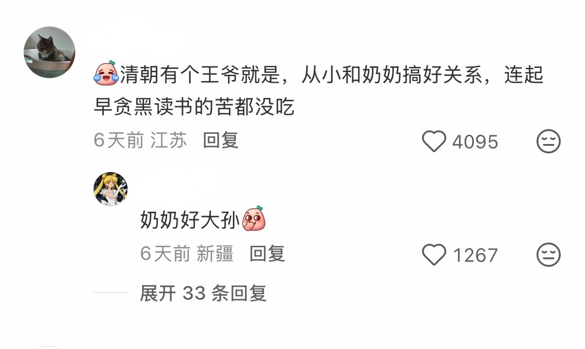 找工作 经过我慎重的职业规划考量，发现最适合我的工作是做一个不参与夺嫡的闲散王爷