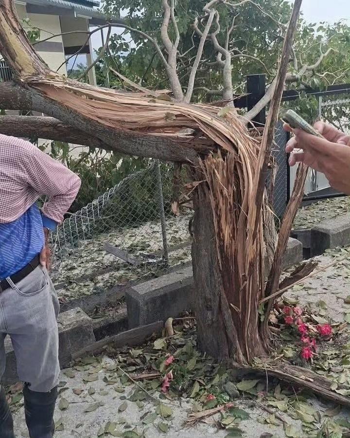 据台媒报道，伪台军队训练时把一枚155毫米训练弹打到三位居民家里，还把一颗古树打