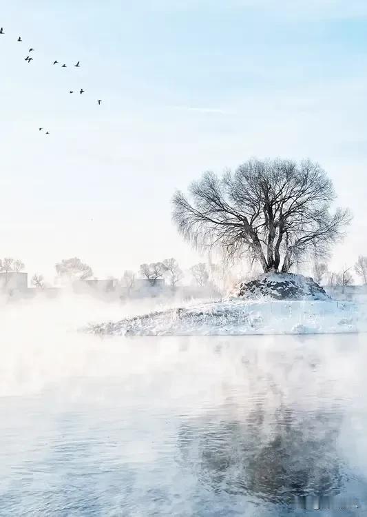 《一场大雪从呼和浩特千岛湖出发》

整个冬天
千岛湖都在酝酿着雪绒花
一朵，一朵