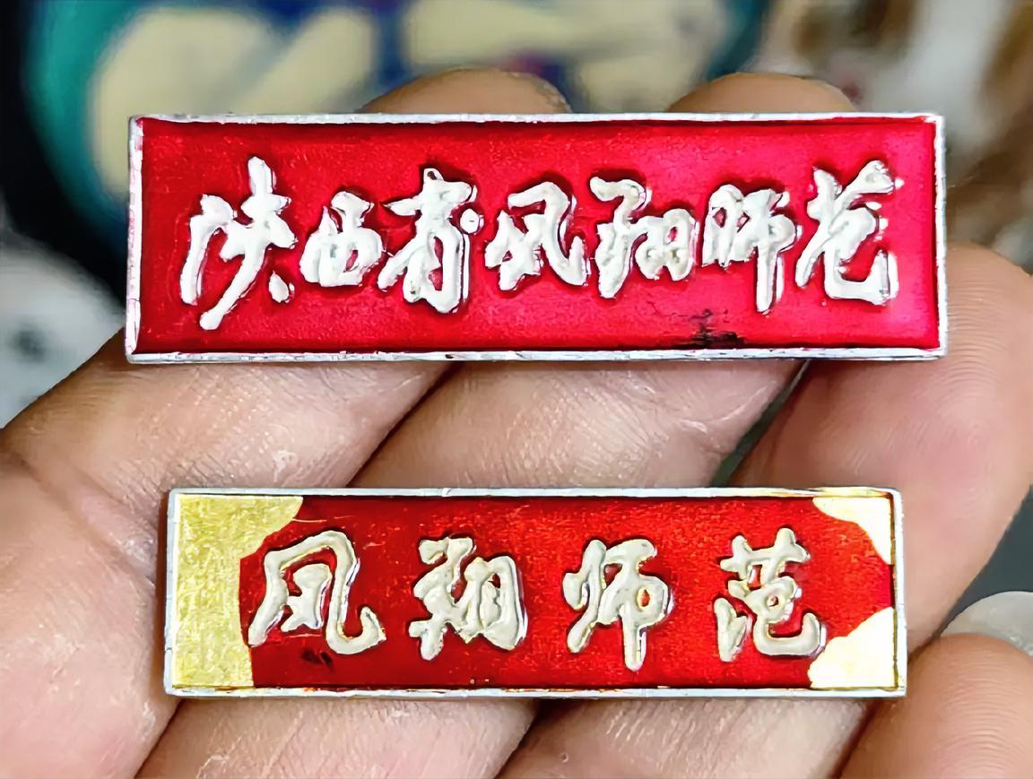 《陕西省凤翔师范》校徽